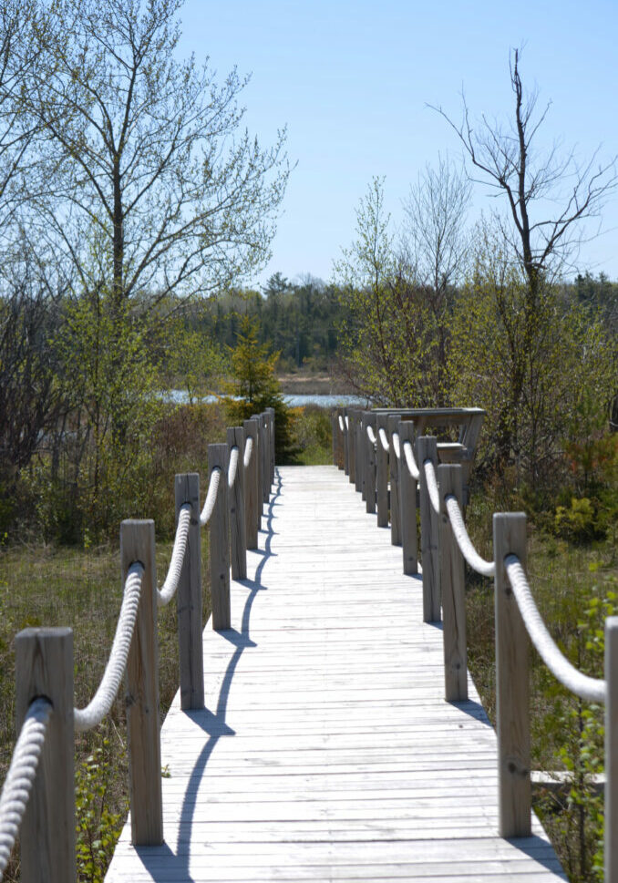 JacksonHarborBoardwalk-KWegner-678x1024